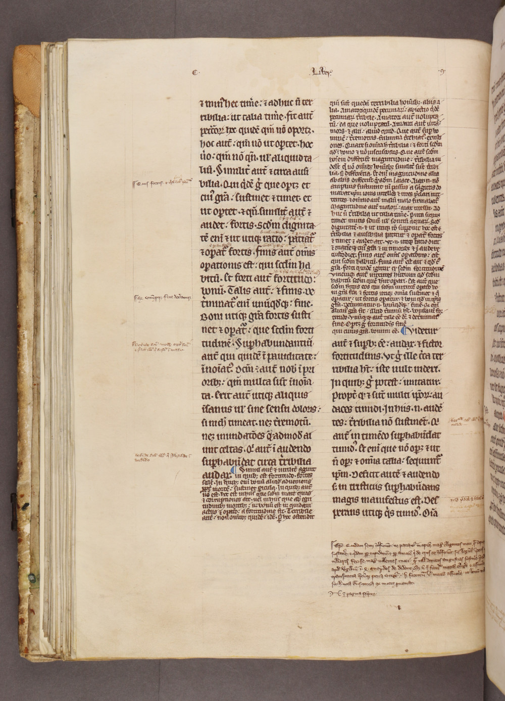 Folio 62 verso